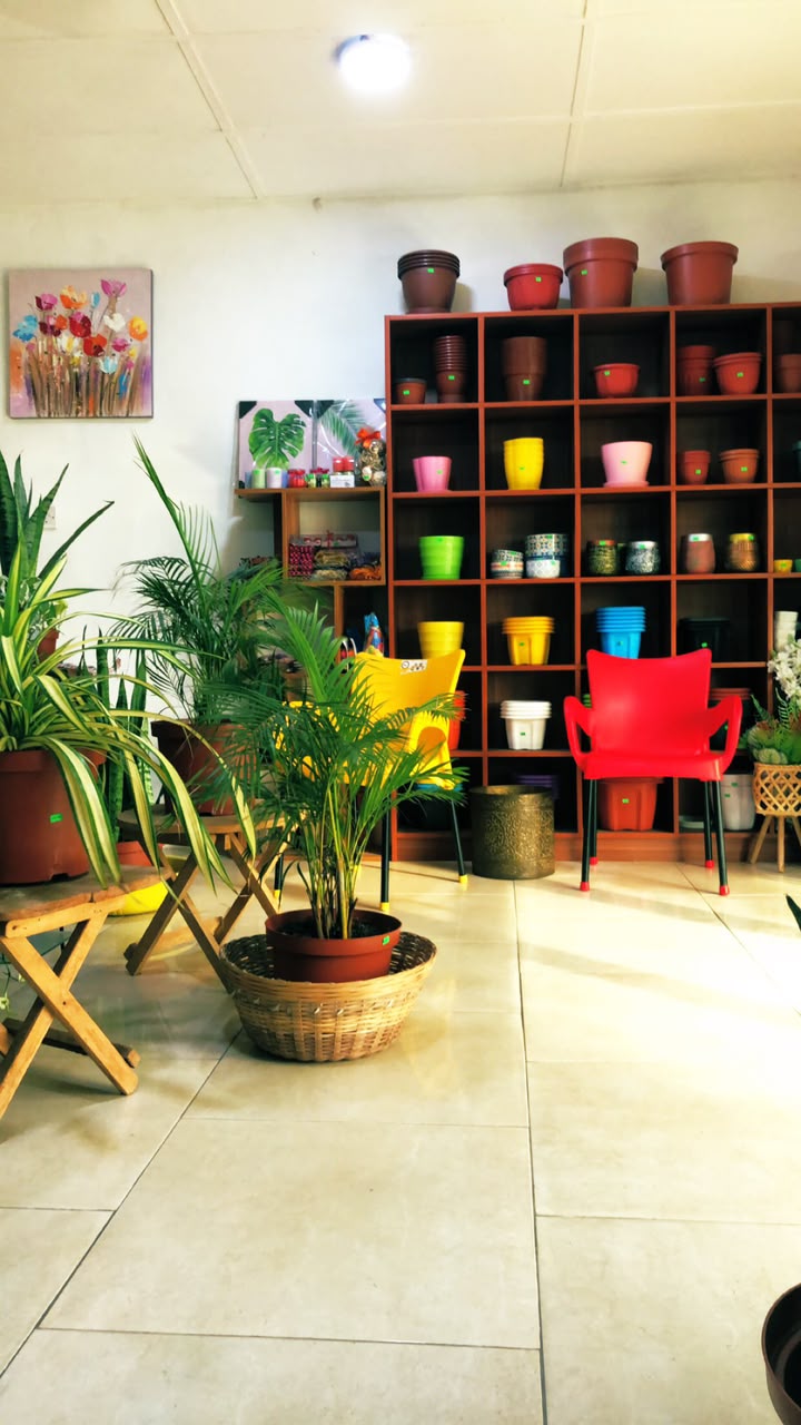 Mrdflower store interior